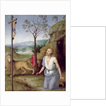 St. Jerome in the Desert, c.1499-1502 by Pietro Perugino