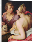 Venus and Adonis, 1610 by Cornelis Cornelisz. van Haarlem