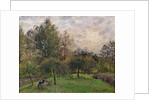 Apple Trees and Poplars in the Setting Sun, 1901 by Camille Pissarro