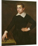 Portrait of a Young Florentine Goldsmith by Agnolo di Cosimo Bronzino