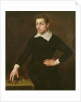 Portrait of a Young Florentine Goldsmith by Agnolo di Cosimo Bronzino