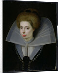 Portrait of a Woman by Dutch School
