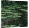 Waterlilies, 1904 by Claude Monet