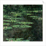 Waterlilies, 1904 by Claude Monet