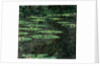 Waterlilies, 1904 by Claude Monet