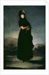 Mariana Waldstein, c.1797-1800 by Francisco Jose de Goya y Lucientes