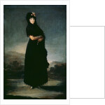 Mariana Waldstein, c.1797-1800 by Francisco Jose de Goya y Lucientes