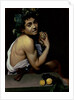 The Sick Bacchus, 1591 by Michelangelo Merisi da Caravaggio