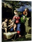 The Holy Family of the Oak Tree, c.1518 by Raphael