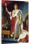 Napoleon I in his coronation robe, c.1804 by Francois Pascal Simon Baron Gerard