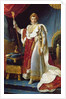 Napoleon I in his coronation robe, c.1804 by Francois Pascal Simon Baron Gerard