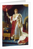Napoleon I in his coronation robe, c.1804 by Francois Pascal Simon Baron Gerard