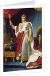 Napoleon I in his coronation robe, c.1804 by Francois Pascal Simon Baron Gerard