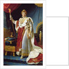 Napoleon I in his coronation robe, c.1804 by Francois Pascal Simon Baron Gerard