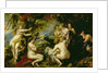 Diana and Callisto, c.1638-40 by Peter Paul Rubens