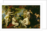 Diana and Callisto, c.1638-40 by Peter Paul Rubens