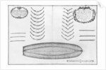 lan of a vessel with all its floor plates and forks by French School