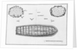 lan of a vessel lined up to the false deck by French School
