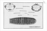 lan of a vessel by French School