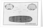 lan of the first deck of a vessel by French School