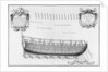 rofile of a vessel by French School