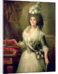 Portrait of Queen Maria Luisa by Mariano Salvador de Maella