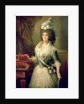 Portrait of Queen Maria Luisa by Mariano Salvador de Maella