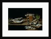 Still Life with Fish by Alexander van Adriaenssen