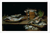 Still Life with Fish by Alexander van Adriaenssen