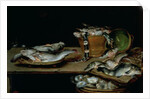 Still Life with Fish by Alexander van Adriaenssen