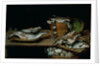 Still Life with Fish by Alexander van Adriaenssen