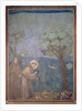 St. Francis preaching to the birds, 1297-99 by Giotto