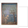 St. Francis preaching to the birds, 1297-99 by Giotto