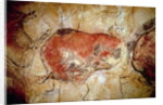 Bison from the Altamira Caves, Upper Paleolithic, c.15000-8000 BC by Prehistoric Prehistoric