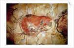 Bison from the Altamira Caves, Upper Paleolithic, c.15000-8000 BC by Prehistoric Prehistoric