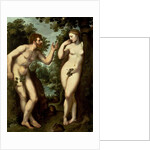 Adam and Eve, c.1599 by Peter Paul Rubens