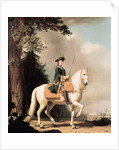 Equestrian Portrait of Catherine II, the Great, of Russia by Vigilius Erichsen