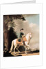 Equestrian Portrait of Catherine II, the Great, of Russia by Vigilius Erichsen