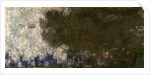 The Waterlilies - The Clouds, 1914-18 by Claude Monet