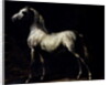 Study of a Dapple Grey by Theodore Gericault