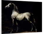 Study of a Dapple Grey by Theodore Gericault