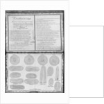 Ropes of a galley by French School