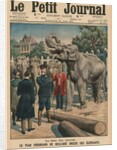 Leisure time of a sovereign, Tzar Ferdinand I of Bulgaria taming elephants by French School
