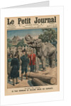 Leisure time of a sovereign, Tzar Ferdinand I of Bulgaria taming elephants by French School