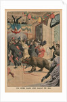 A Bear in a ballroom by French School