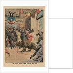 A Bear in a ballroom by French School