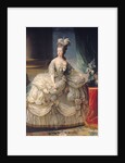 Marie Antoinette Queen of France, 1779 by Elisabeth Louise Vigee-Lebrun