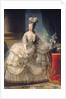 Marie Antoinette Queen of France, 1779 by Elisabeth Louise Vigee-Lebrun