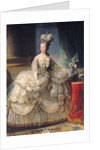 Marie Antoinette Queen of France, 1779 by Elisabeth Louise Vigee-Lebrun