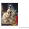 Marie Antoinette Queen of France, 1779 by Elisabeth Louise Vigee-Lebrun